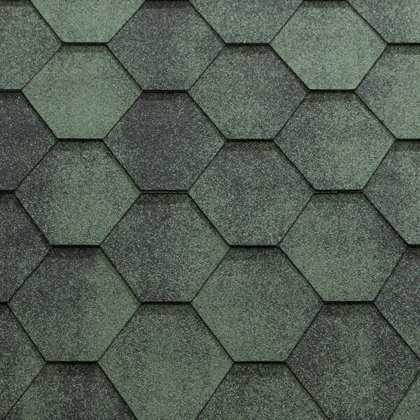Jazzy_Green-iloveimg-cropped.jpg Jazzy_Green-iloveimg-cropped.jpg